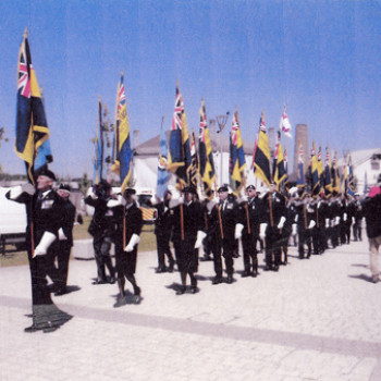 Redruth Armed Forces Day 2014